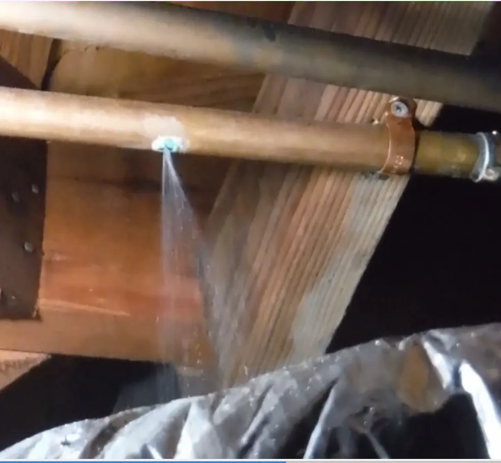 Slide of Americana Leak Detection