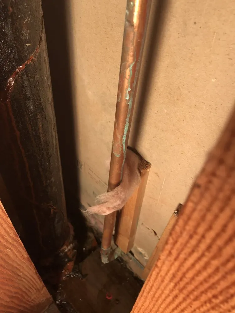 Reliable emergency plumbing for homes in El Cajon, CA by America's Finest Plumbing Company