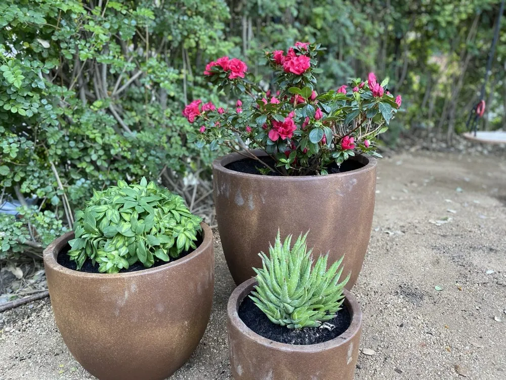 Slide of America's Irrigation & Landscaping