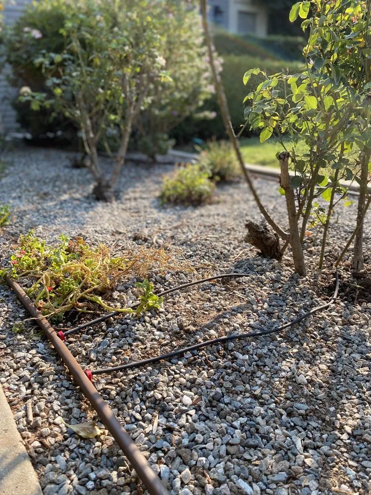 Slide of America's Irrigation & Landscaping