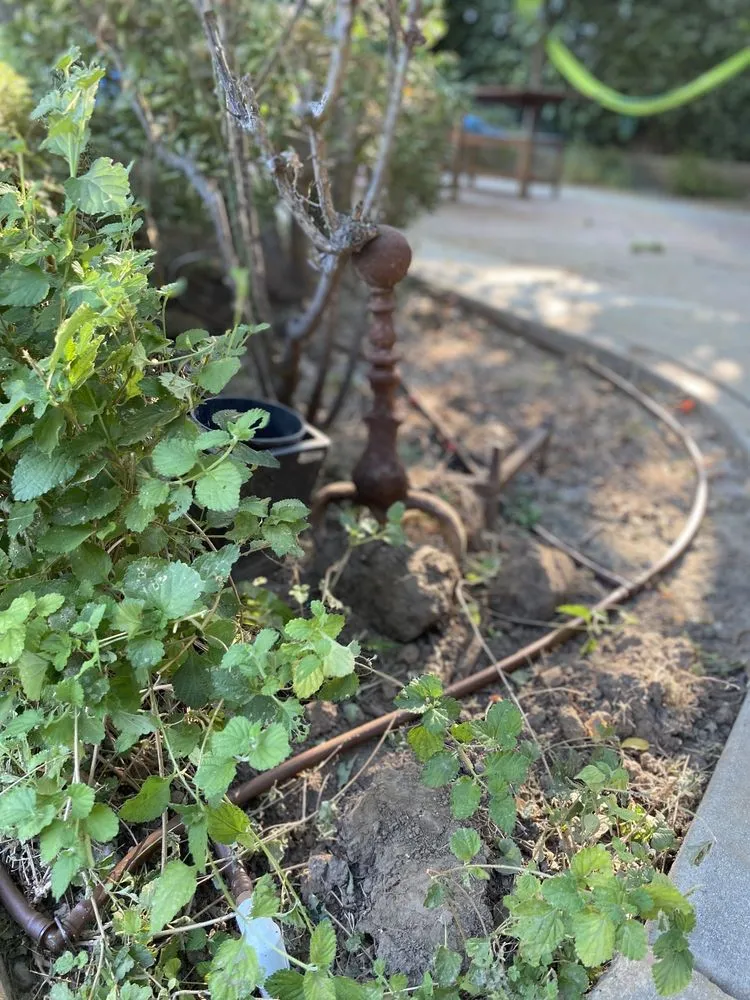 Professional drain cleaning experts serving Riverside, CA - America's Irrigation & Landscaping