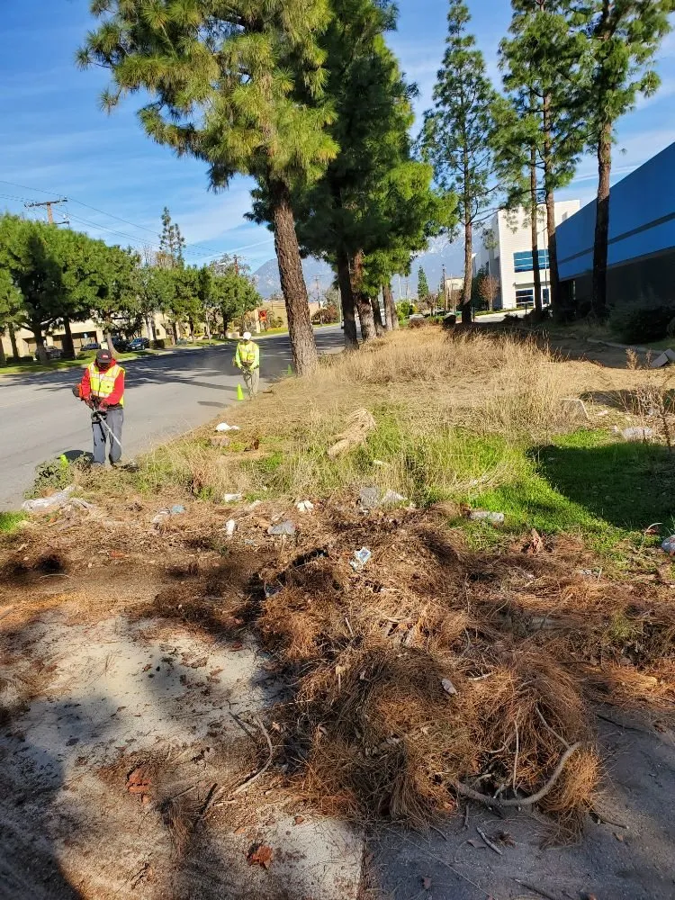 Expert pipe repair service in Riverside, CA - America's Irrigation & Landscaping