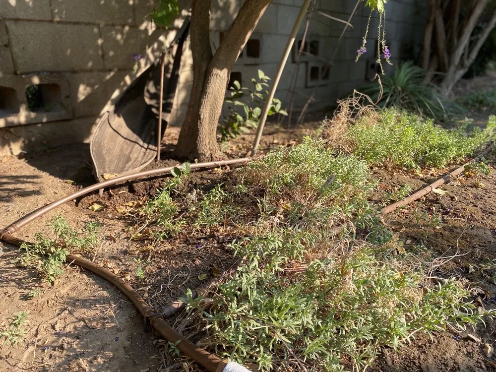 Affordable emergency plumbing for homes in Riverside, CA by America's Irrigation & Landscaping