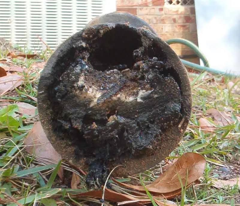 Emergency drain cleaning in Sacramento, CA by America's Plumbing Company