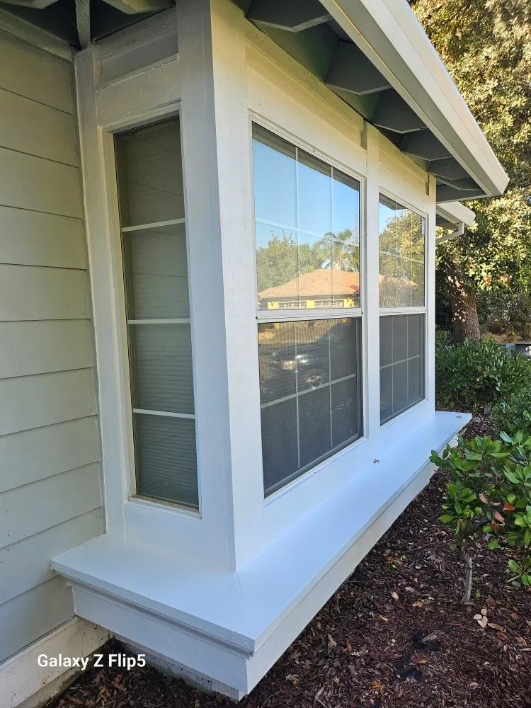 Slide of Americo Handyman