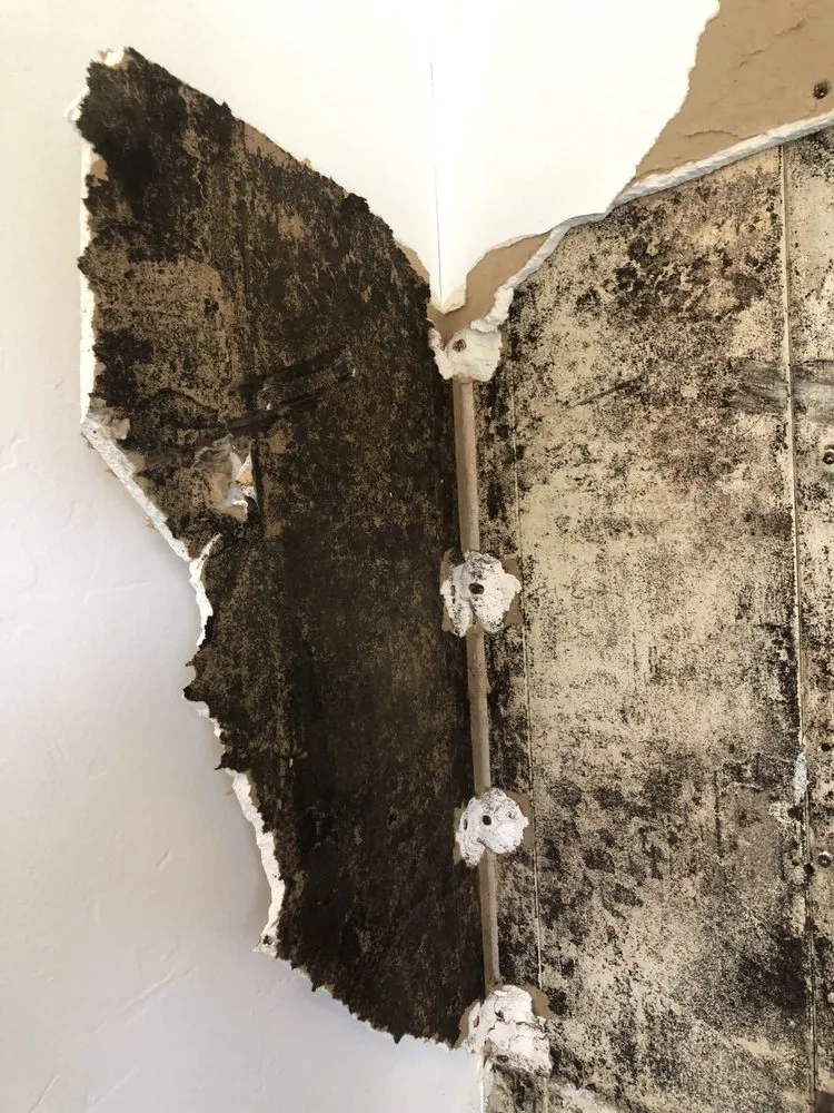 Slide of AMF Handyman Service