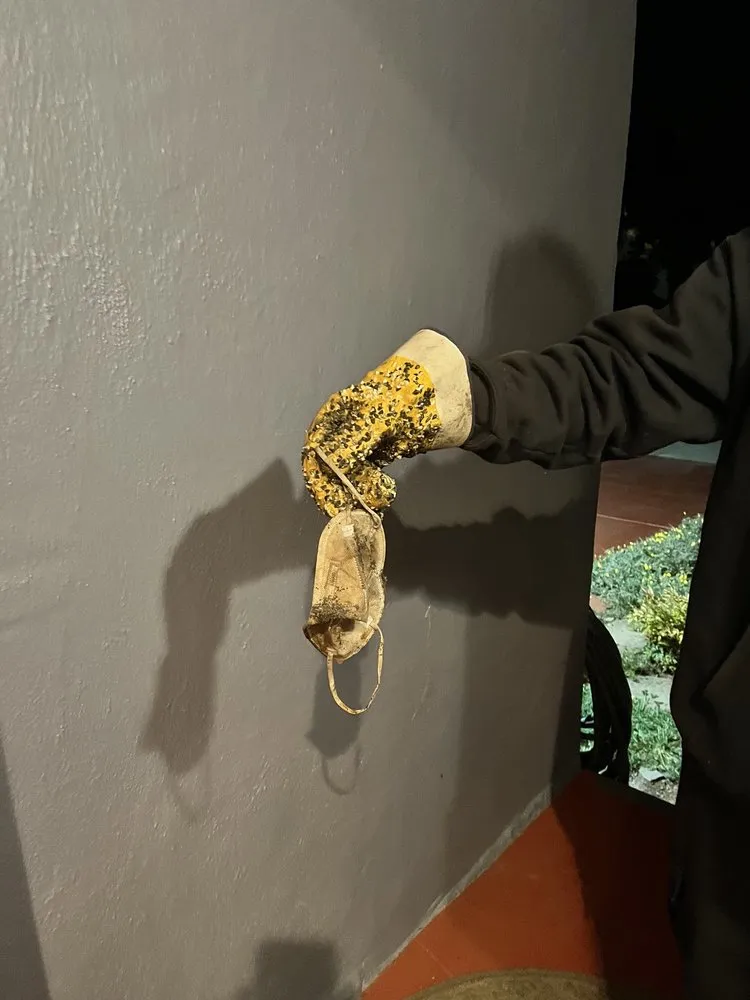 Slide of Amigo Rooter and Plumbing