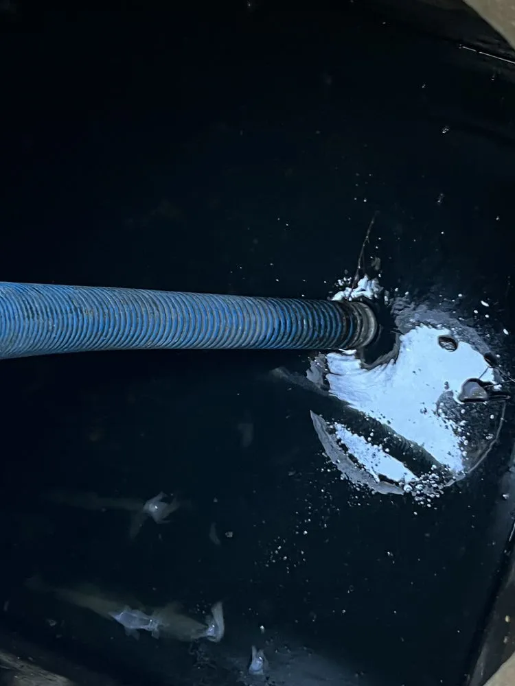 Slide of Amp Services