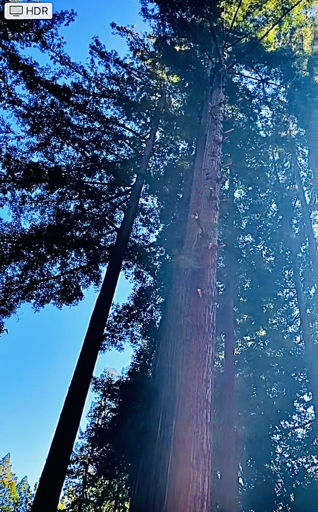 Slide of Amped Plumbing Services