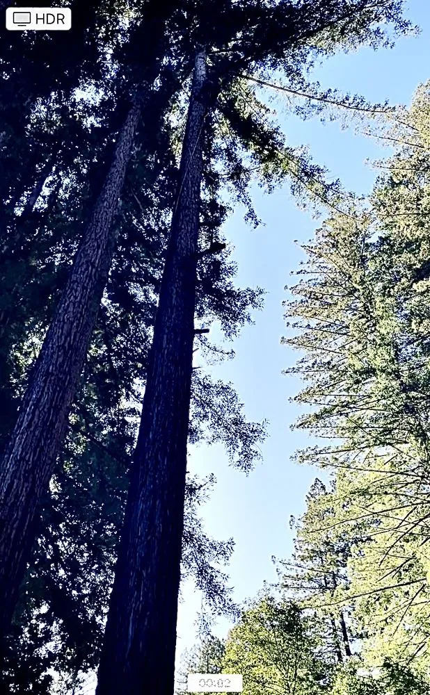 Top-rated drain cleaning for homes in La honda, CA by Amped Plumbing Services