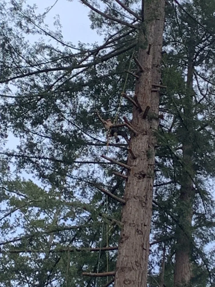 Emergency water heater service for homes in La honda, CA by Amped Plumbing Services