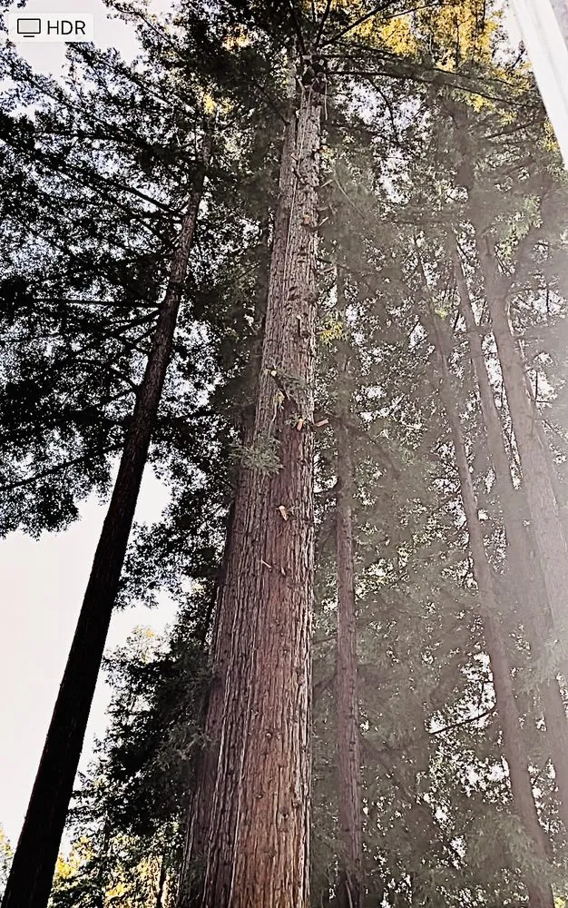 Top-rated leak detection experts serving La honda, CA - Amped Plumbing Services