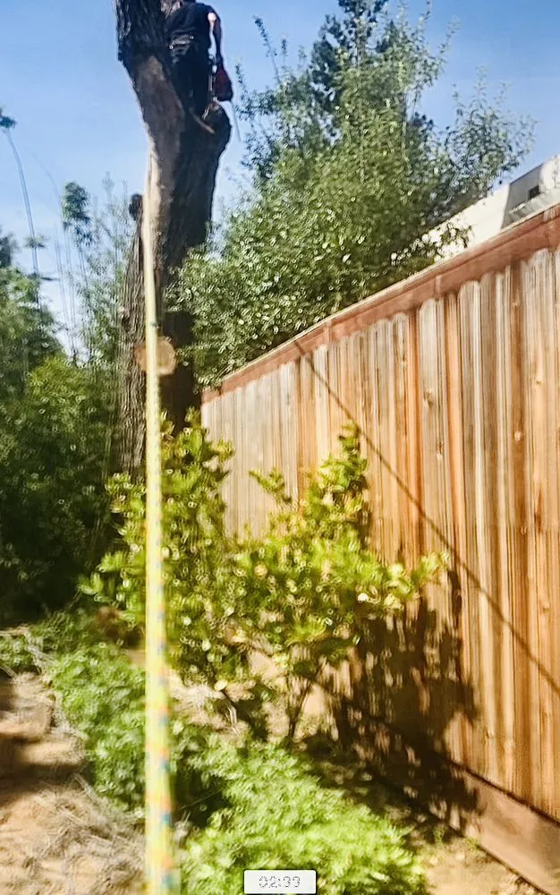 Top-rated plumbing repair experts serving La honda, CA - Amped Plumbing Services