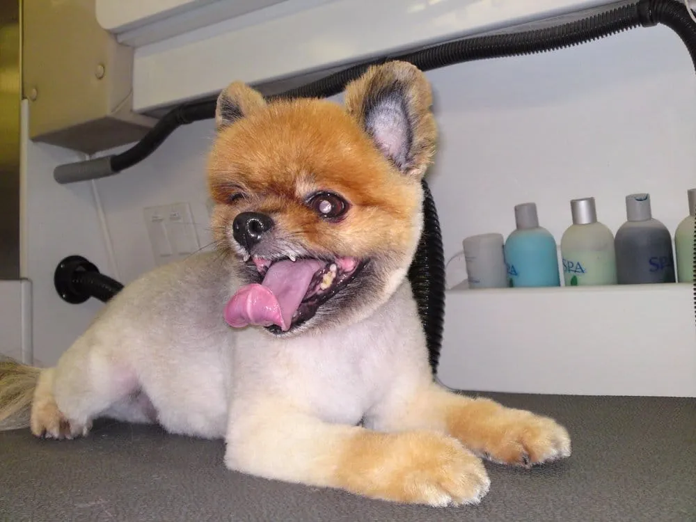 Slide of AMPRO Plumbing and Leak Detection