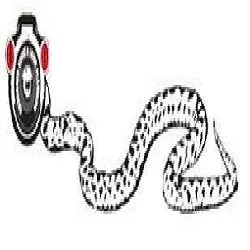 Top-rated drain cleaning experts serving Hereford, AZ - Anaconda Snake & Drain