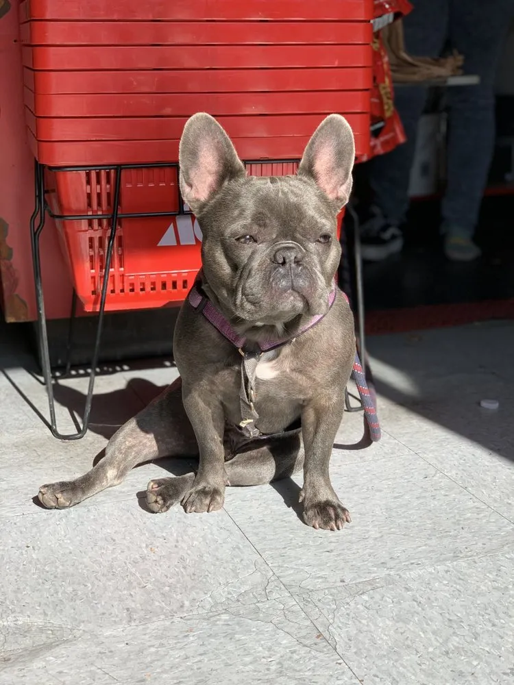 Slide of Anaheim Ace Hardware