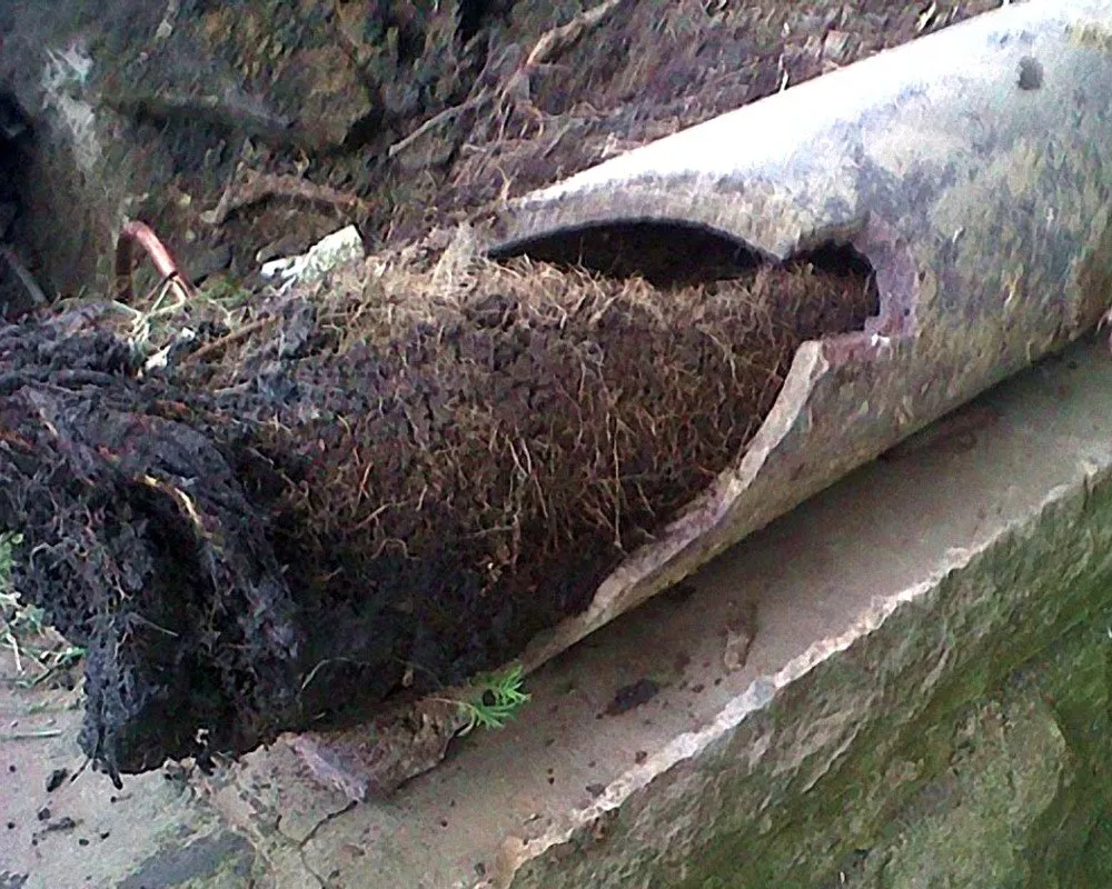 Slide of Anaheim Hills Best Plumber