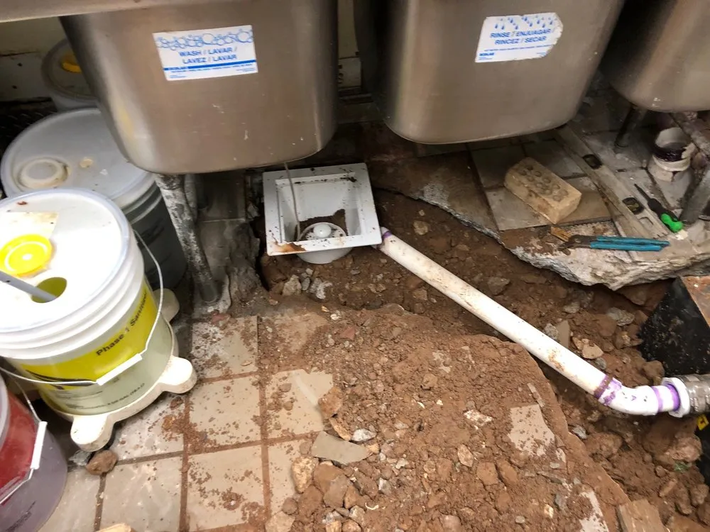 Slide of Analytical Bio Treatment