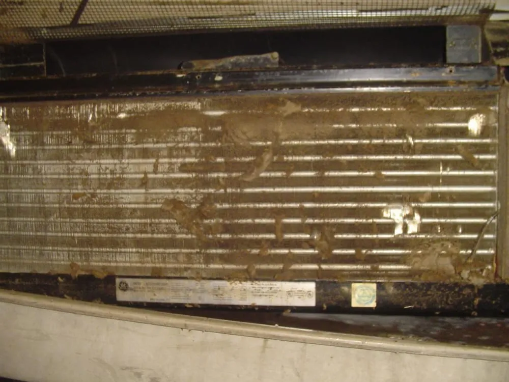 Expert water heater service for homes in Brooklyn, NY by AnbitAir Solutions