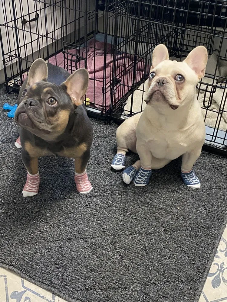 Slide of Anchor Plumbing Services