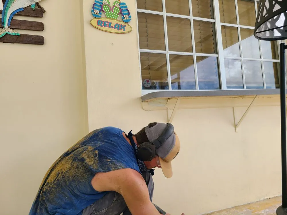 Slide of Andrew Clarkson Wasp