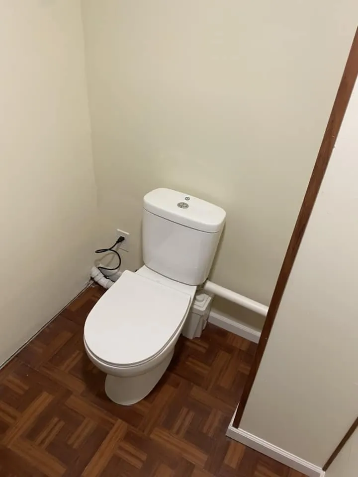 Emergency leak detection for homes in Algonquin, IL by Andrew Group