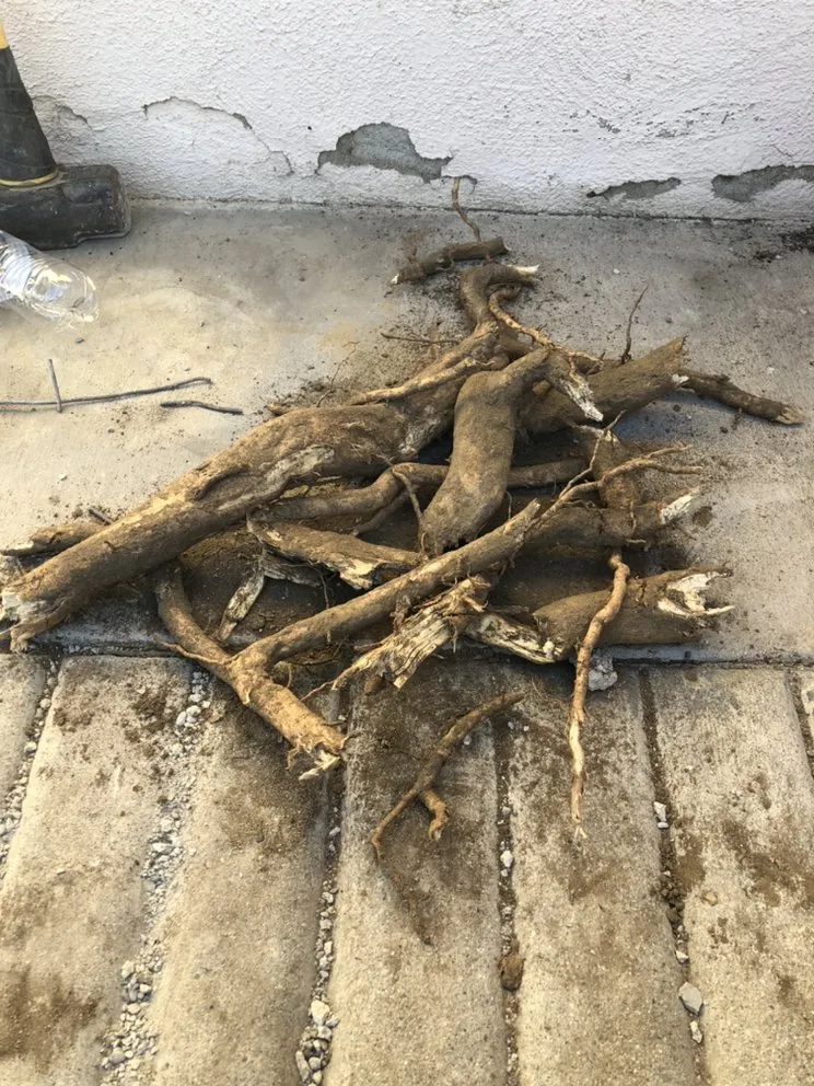 Slide of Andrew’s Plumbing & Drain Cleaning