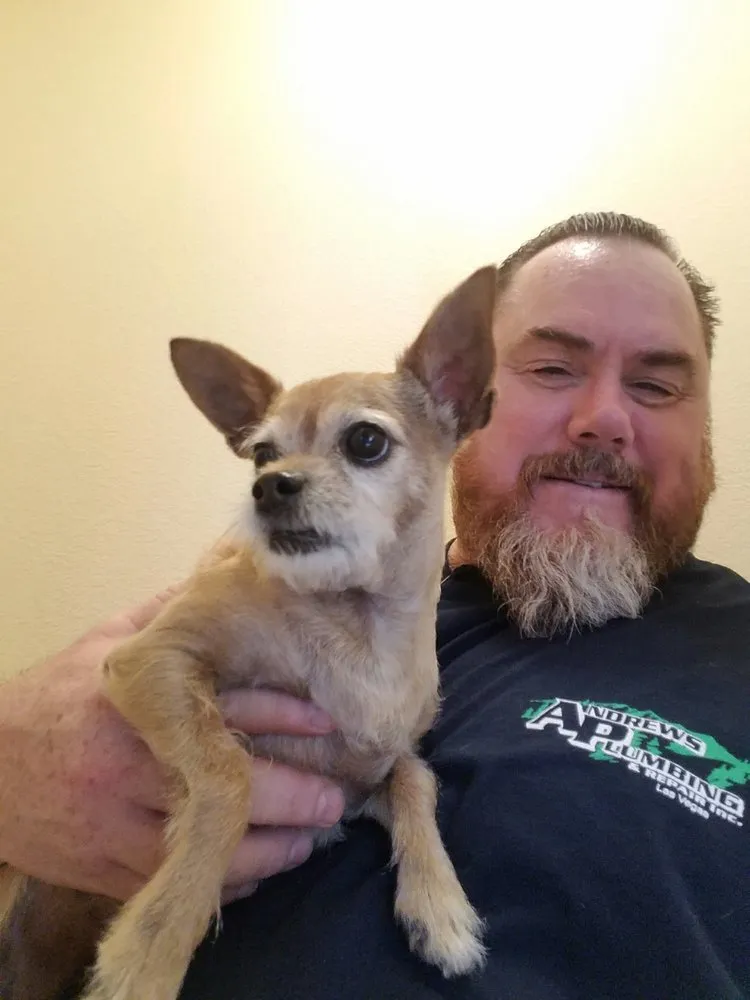 Emergency plumbing repair experts serving Las Vegas, NV - Andrews Plumbing and Repair