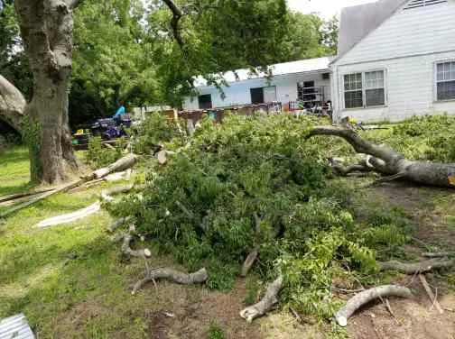 Slide of Andrews Services