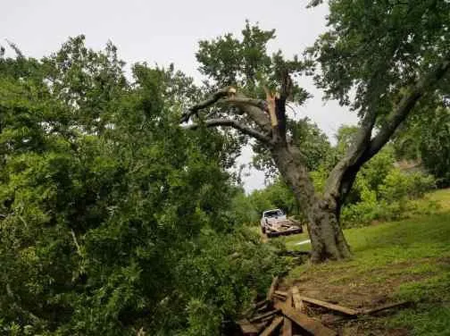 Slide of Andrews Services