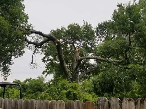 Slide of Andrews Services