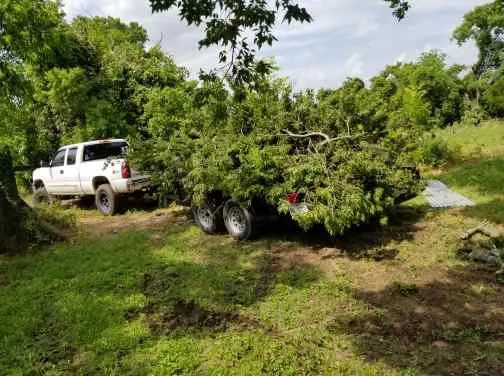 Slide of Andrews Services