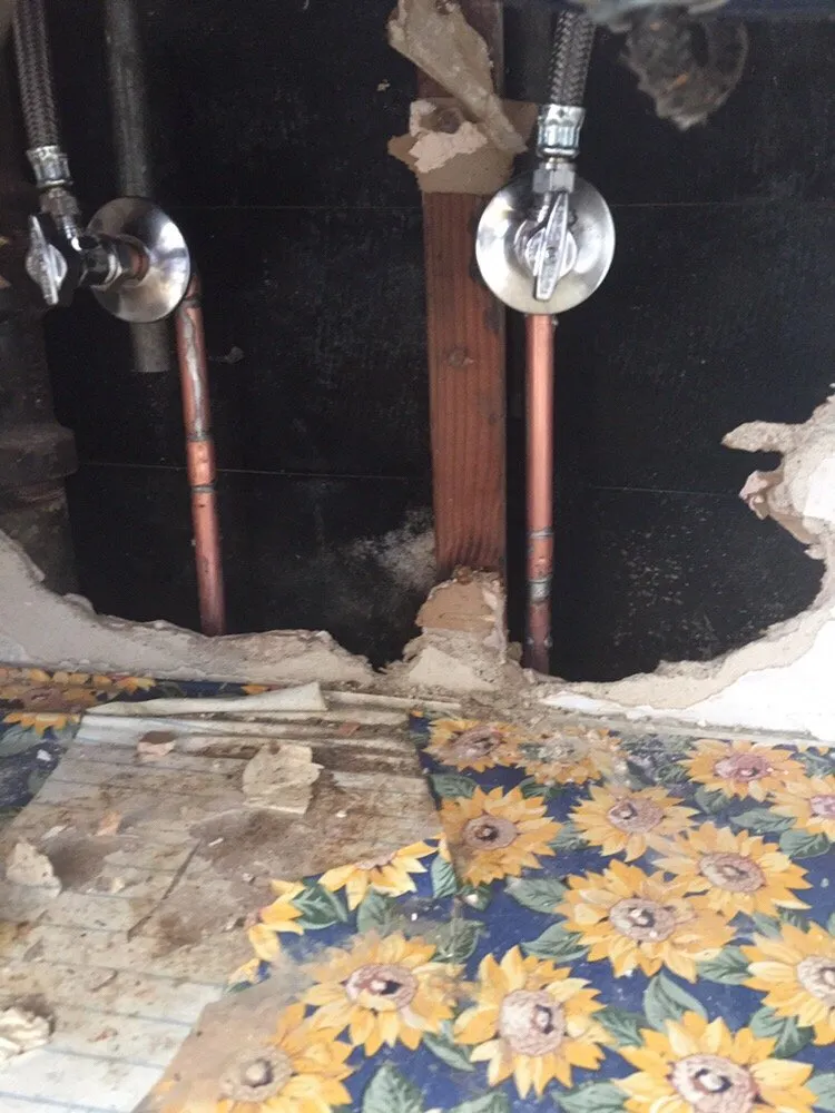 Affordable leak detection in Los Angeles, CA by Andy's Plumbing & Rooter