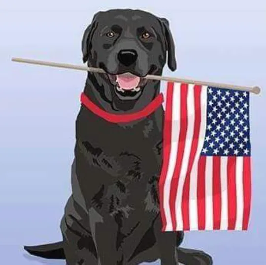 Slide of Andys Plumbing