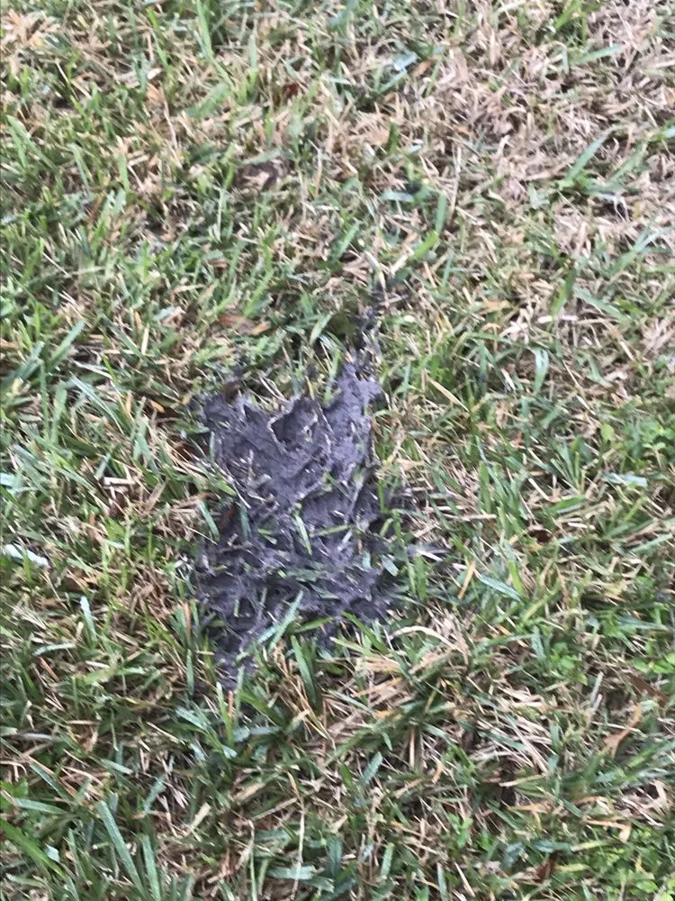 Slide of Andy's Plumbing Service