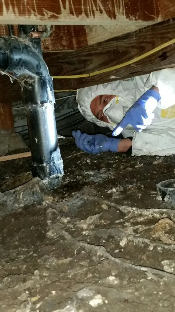 Slide of Angels Rooter Service