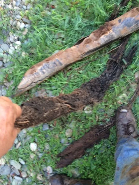 Slide of Angels Sewer & Drain Service