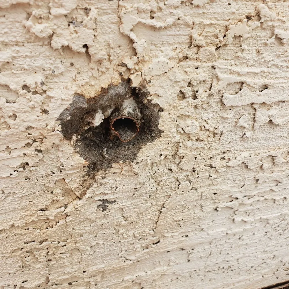 Slide of Angry Pipe Plumbing Solutions