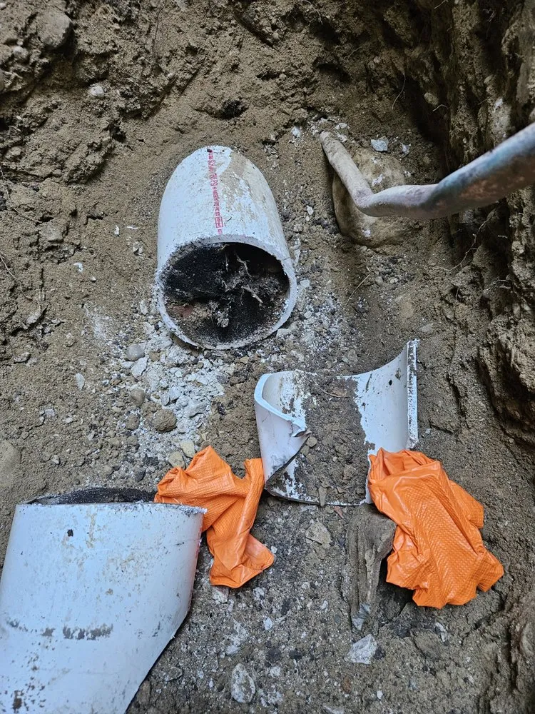 Slide of Angry Snake Drain Services