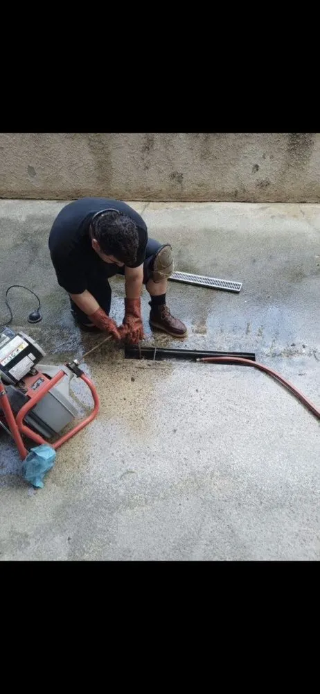 Slide of Animal Drain