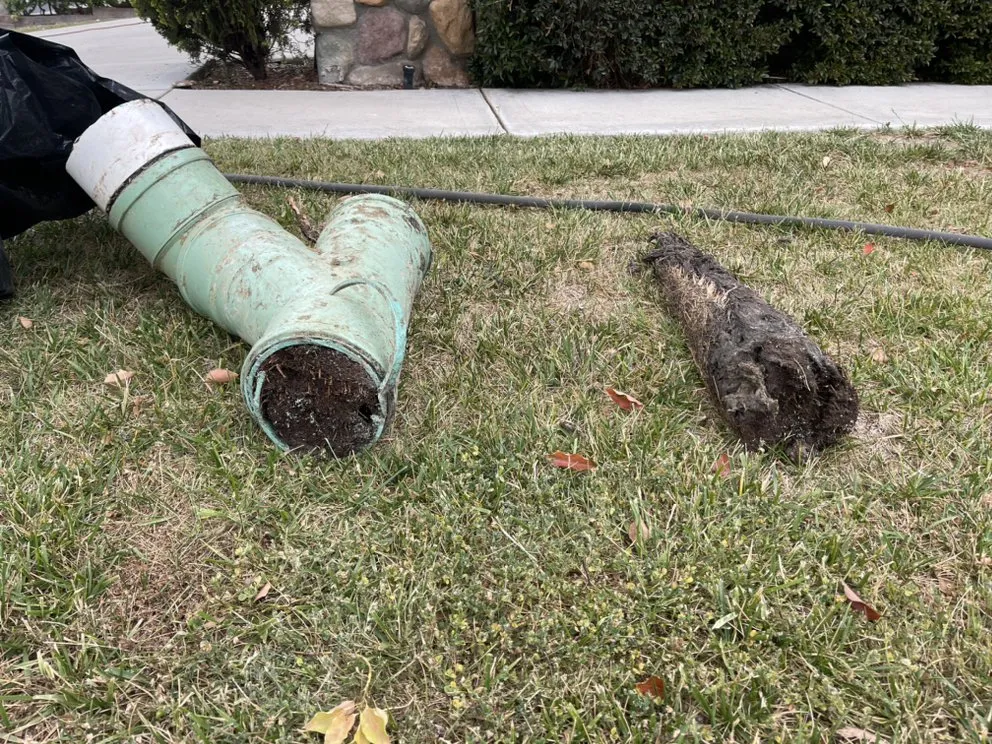 Slide of Animal Drain