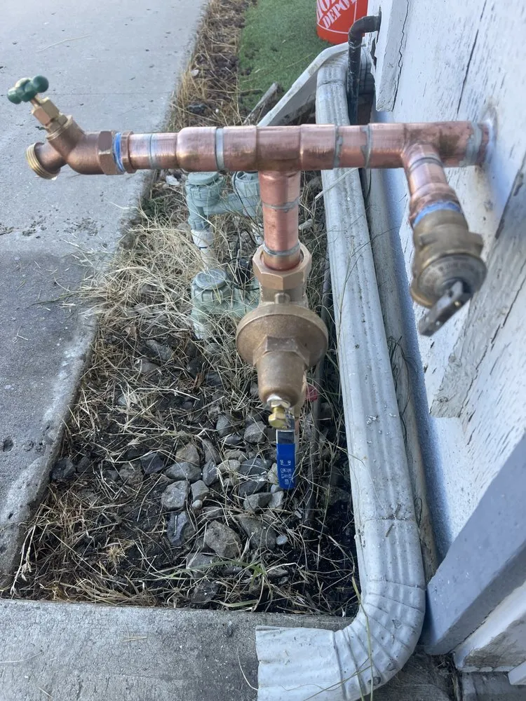 Slide of Animal Drain