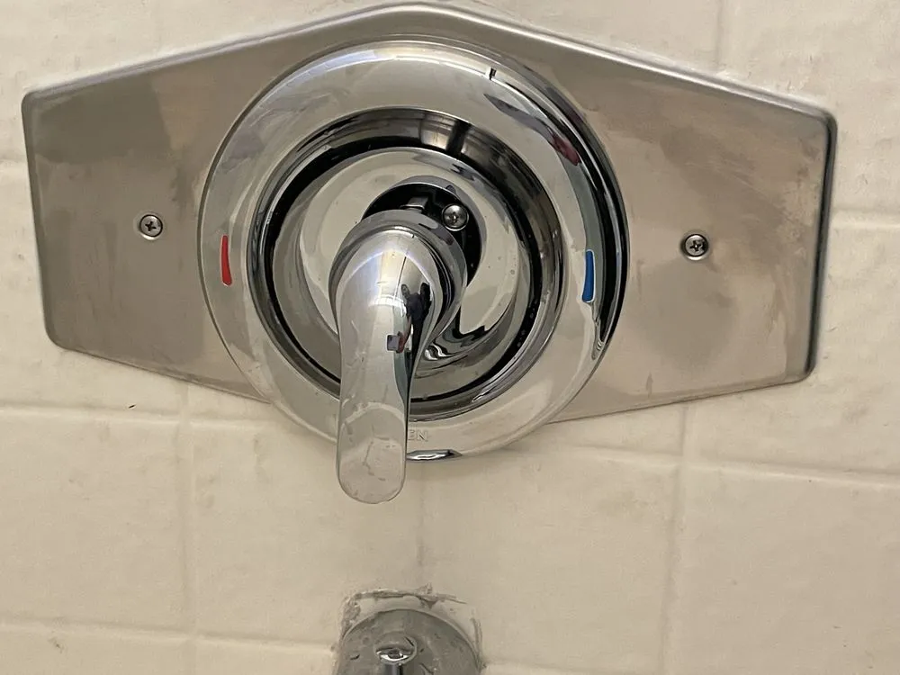 Slide of Animal Drain