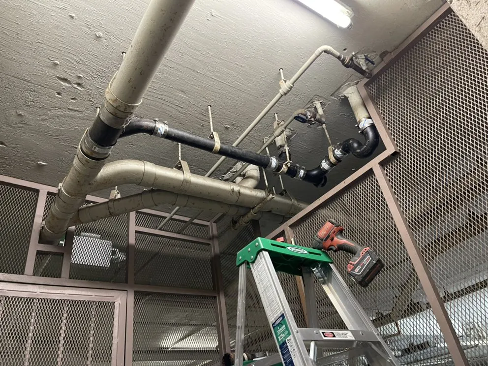 Slide of Animal Drain