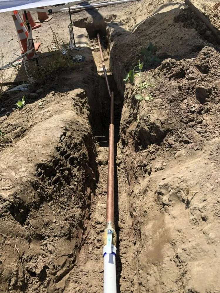 Slide of Animal Drain