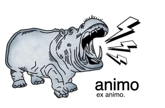 Slide of Animo Electric