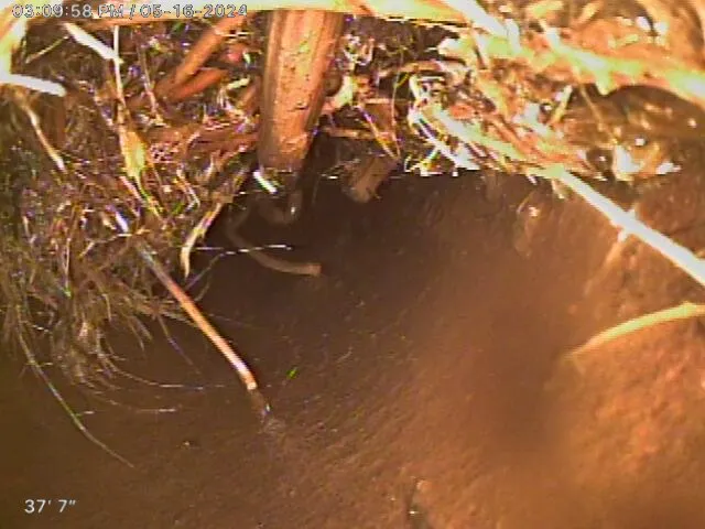 Slide of Animo Plumbing