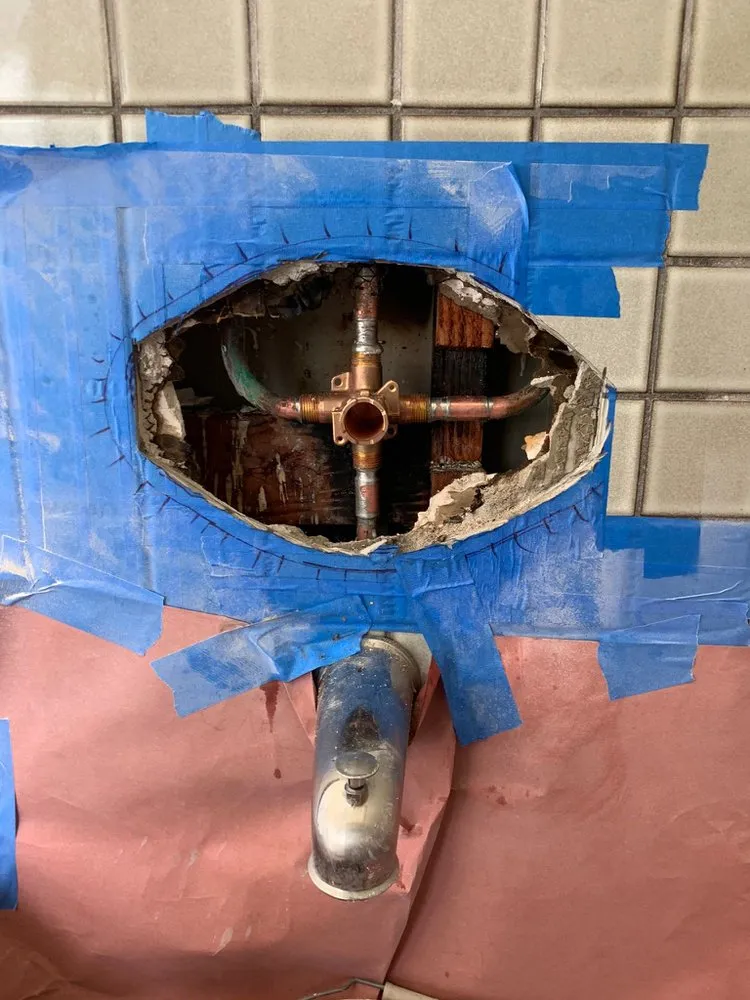 Slide of Anis plumbing