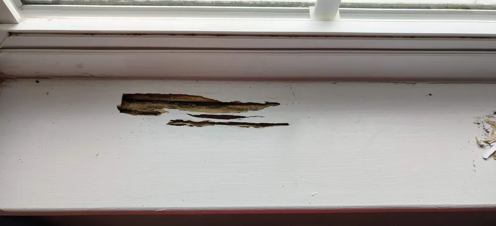 Reliable emergency plumbing in Irmo, SC by Another Handyman & Lawn Care