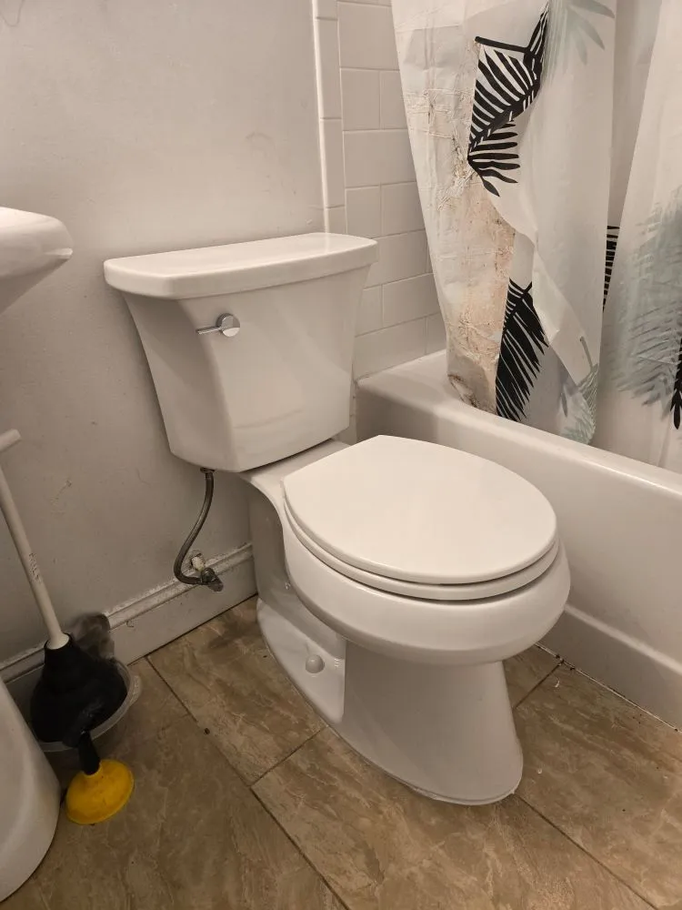 Slide of Another Plumber